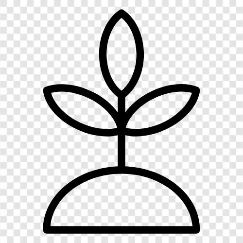 botany, gardening, plants, flowers icon svg