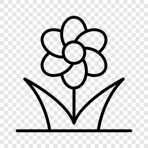 Bouquet, Bloom, Blossoming, Fragrance icon svg