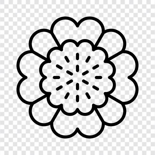 bouquet, blossom, flora, plant icon svg