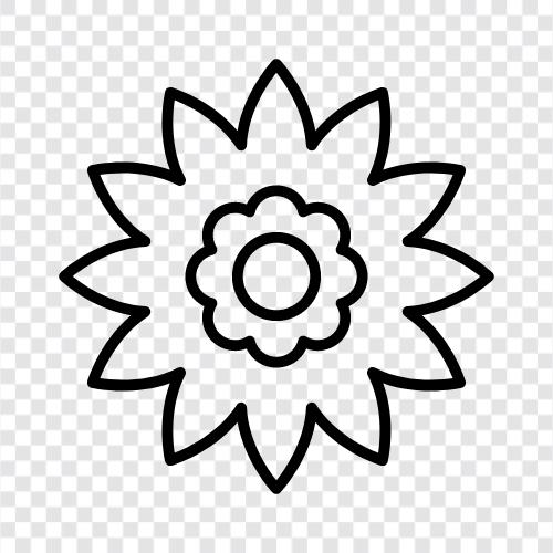 Bouquet, Floral, Bloom, Garden icon svg