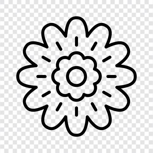 bouquet, blossom, daisy, rose icon svg