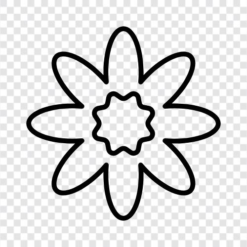 Bouquet, Florist, Bloom, Blooms icon svg