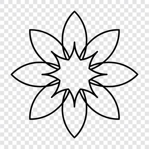 Blumenkohl symbol