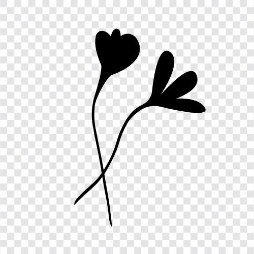Blumenstrauß, Blume, Blüte, Blüten symbol