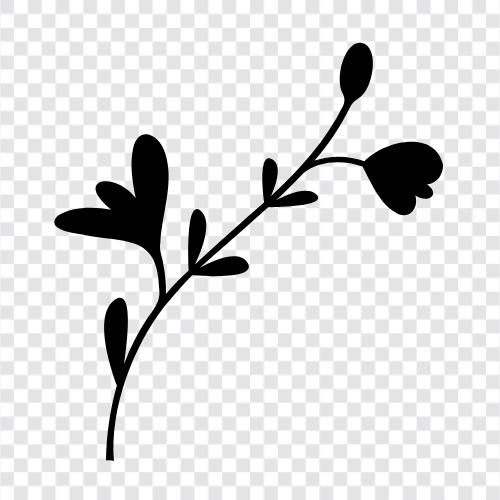 bouquet, flowers for sale, flowers delivery, florist icon svg