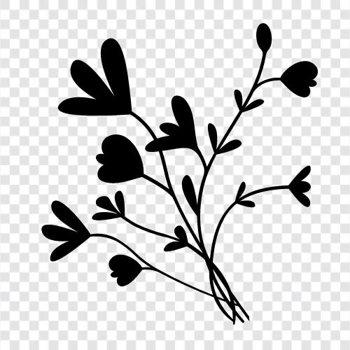 bouquet, arrangements, gardening, plants icon svg