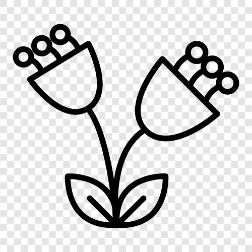 Blumenstrauß, Arrangement, Hochzeit, Braut symbol