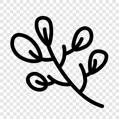 Bouquet, Bloom, Bloomers, Blooms icon svg