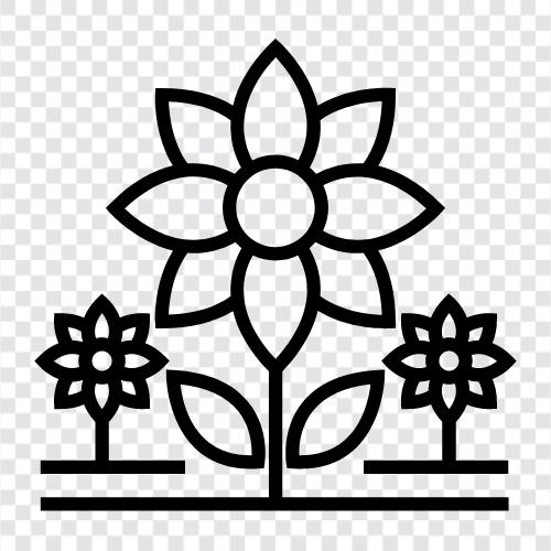 bouquets, flora, gardening, plants icon svg