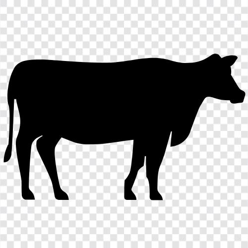 bovine, farm, beef, milk icon svg