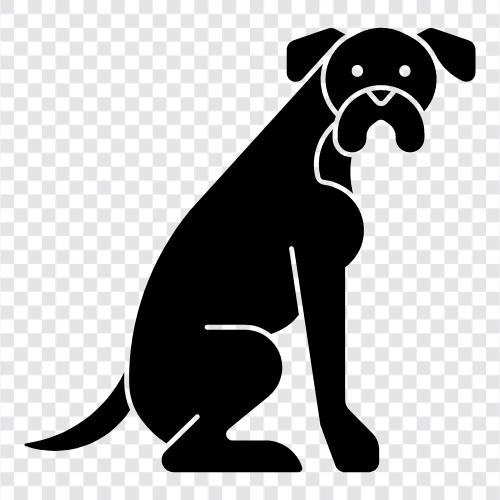 boksör, altın retriever, Labrador retriever, bulldog ikon svg