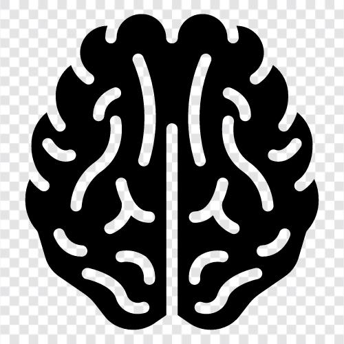 Beyin Anatomisi, Nöroloji, Tıbbi Bilim, Tıbbi Beyin ikon svg