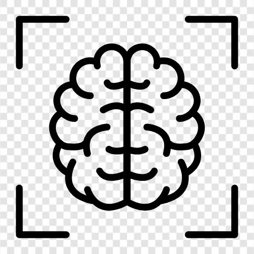 Gehirn, Hirnrinde, graue Materie, weiße Materie symbol
