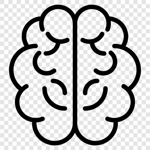 brain, human, neurons, synapses icon svg