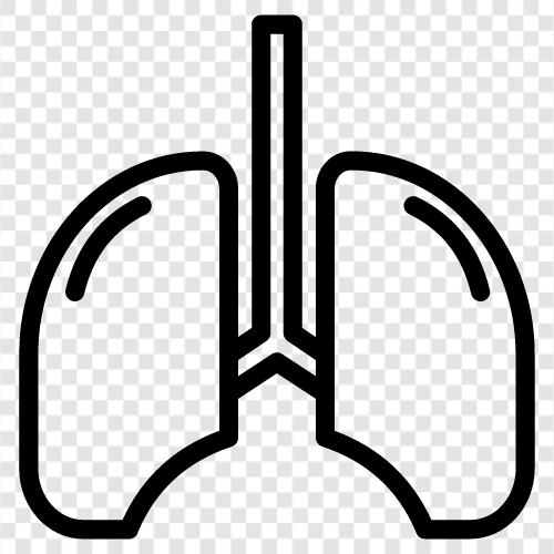 breathing, lungs, breathing exercises, lung cancer icon svg