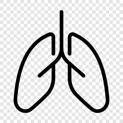 Atmung, Lungen, Bronchus, Luft symbol
