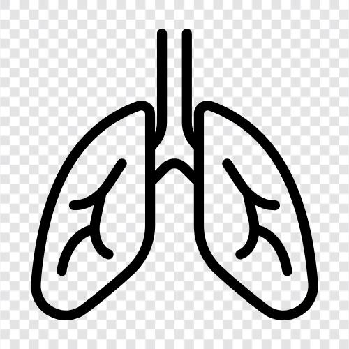 Atem, Lungen, Luft, Sauerstoff symbol
