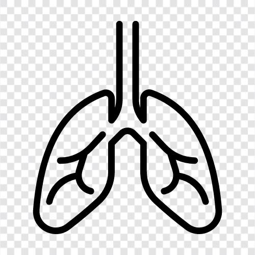 Atmung, Lungen, Luft, Sauerstoff symbol