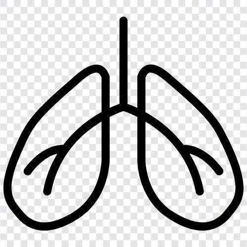 breathing, lungs, breathing exercises, breathing techniques icon svg