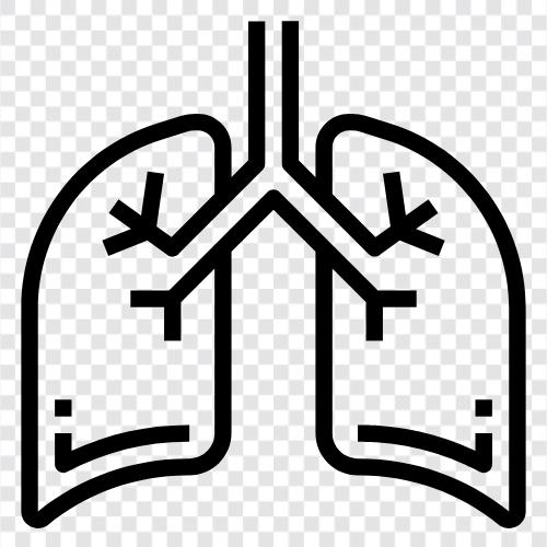 Atem, Atemübungen, Asthma, COPD symbol