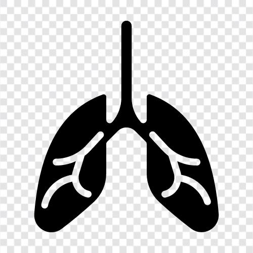 Atem, Luft, Lungen, Atemübungen symbol