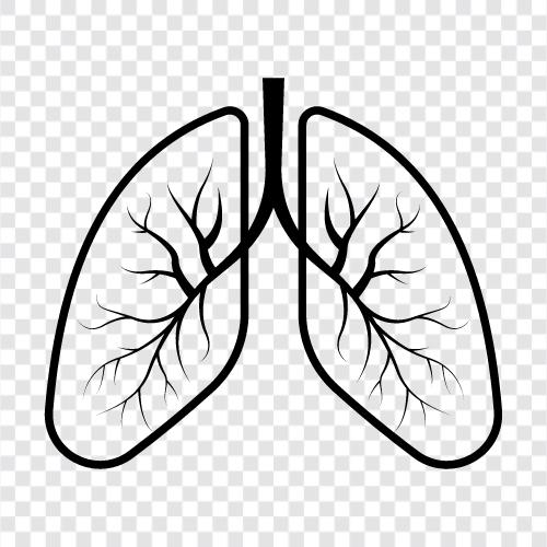 Atmung, Lungen, Luft, Sauerstoff symbol