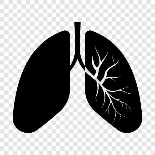 Solunum, Akciğer hastalıkları, Akciğer kanseri, Bronşit ikon svg