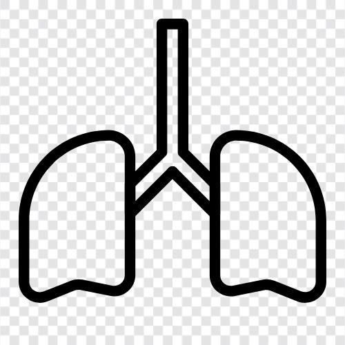 Breathing, Pulmonary, Respiration, Pulmonary Disease icon svg
