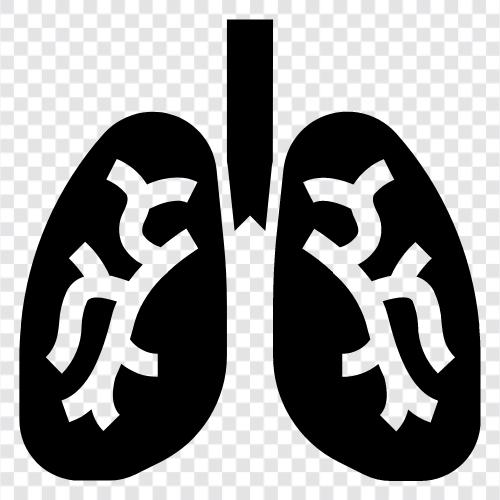 Atmung, Asthma, COPD, Lungenentzündung symbol