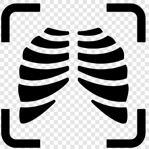 breathing, lungs, Bronchitis, asthma icon svg