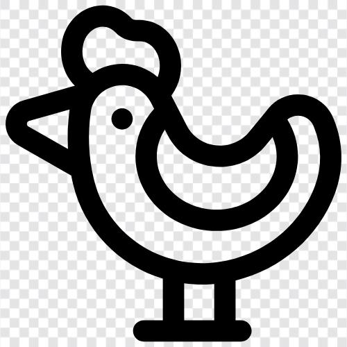 broiler, fryer, oven, chicken feed icon svg