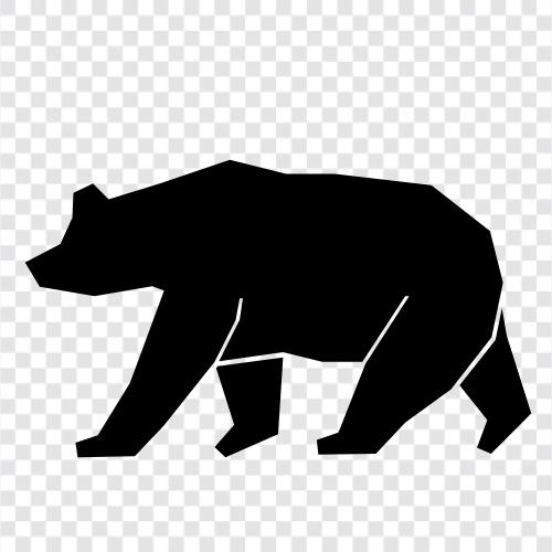 braun, Grizzly, Tier, wild symbol