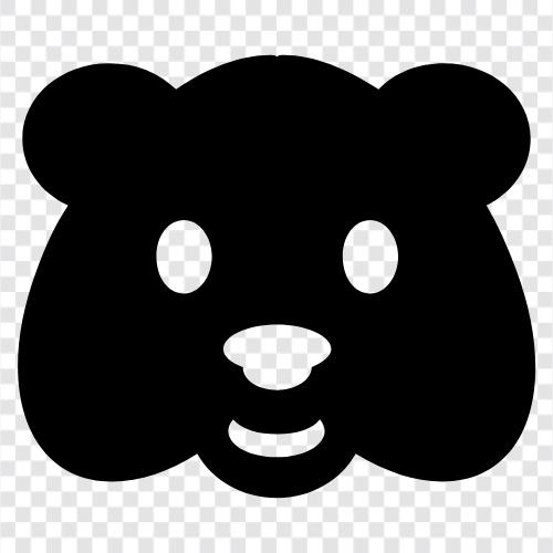 Brauner Bär, Schwarzer Bär, Grizzlybär, Eisbär symbol