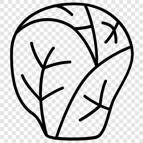 Rosenkohl, Gemüse, Kohl, gesund symbol