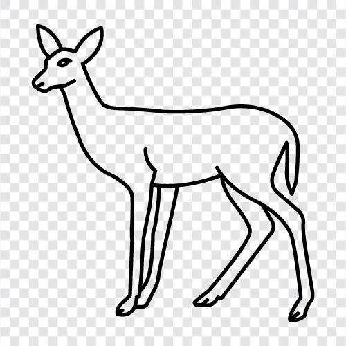 bucks, hunting, animal, animal photography icon svg