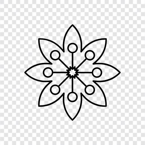 tomurcuk, blossom, bloom, petal ikon svg