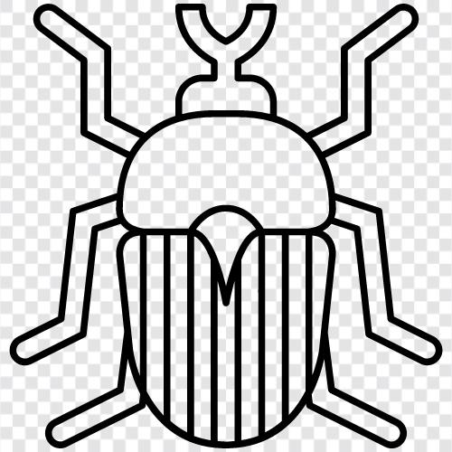 bug, fly, beetle, cricket icon svg