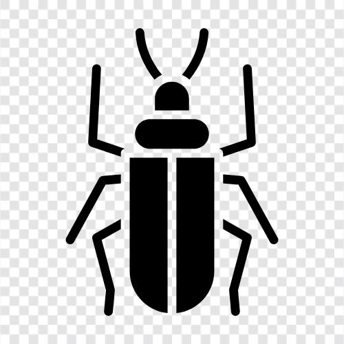 Bug, Ant, Bee, Flour beetle icon svg