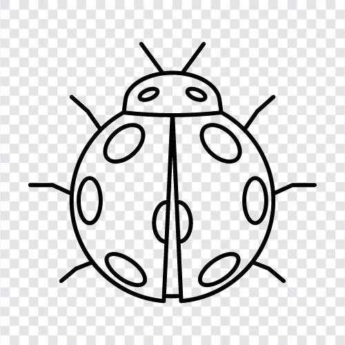 Bug, Ant, Beetle, Cicada icon svg