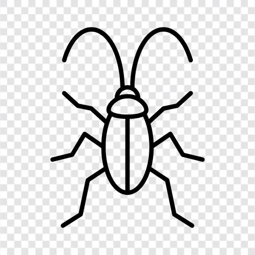 bug, pest, vermin, creature icon svg