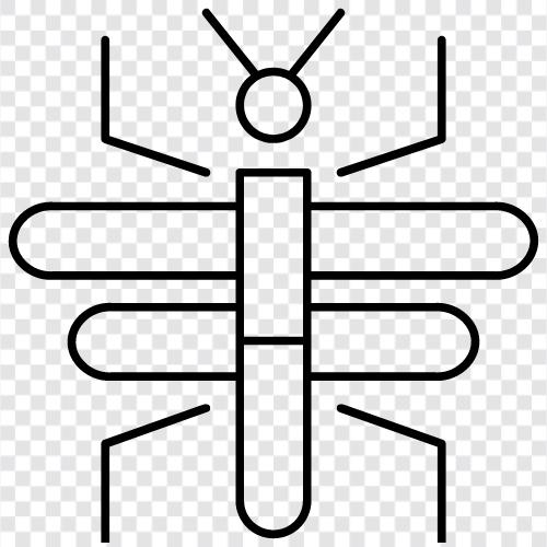 bug, insects, buggy, insect catcher icon svg