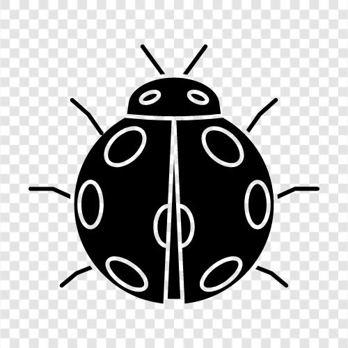 bugs, critters, pests, arachnids icon svg
