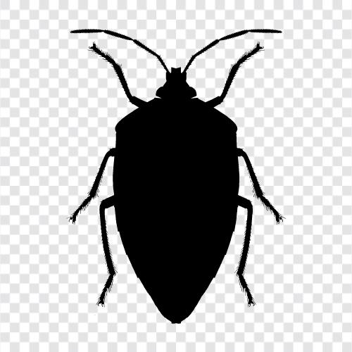 Bugs, Insects, Swarm, Flies icon svg