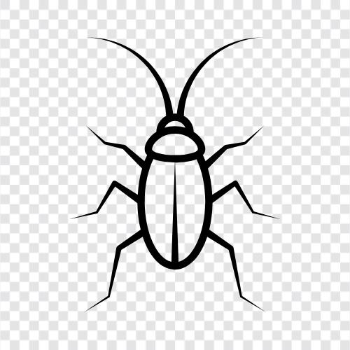 bugs, insects, pests, animals icon svg