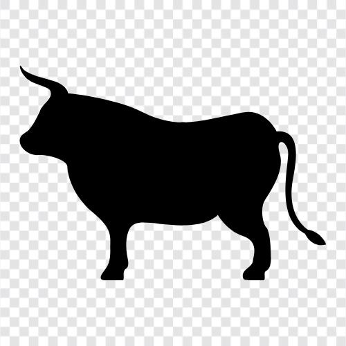 bullfighter, bullfighting, cattle, cattle ranch icon svg