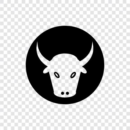 bullfighting, bulls, cattle, beef icon svg