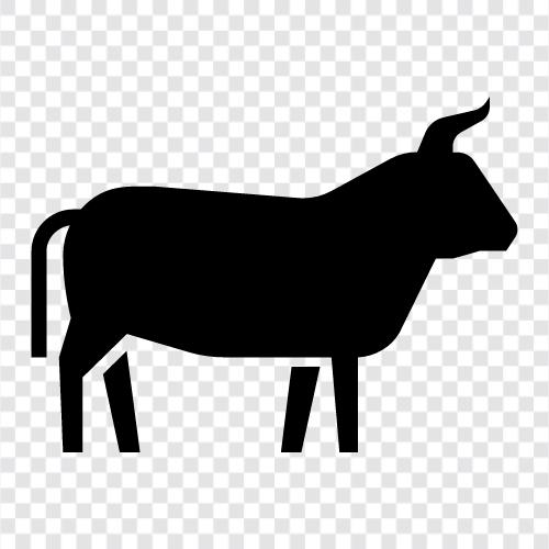 bullfighting, bull semen, bull market, bullion icon svg