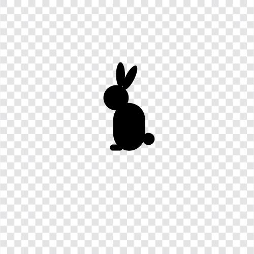 Hase, Kaninchen, Kaninchenzucht, Kaninchenfutter symbol