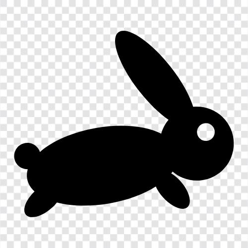 bunny, pet, house, care icon svg