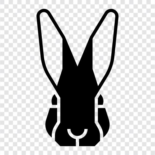 bunny, pet, animal, farm icon svg